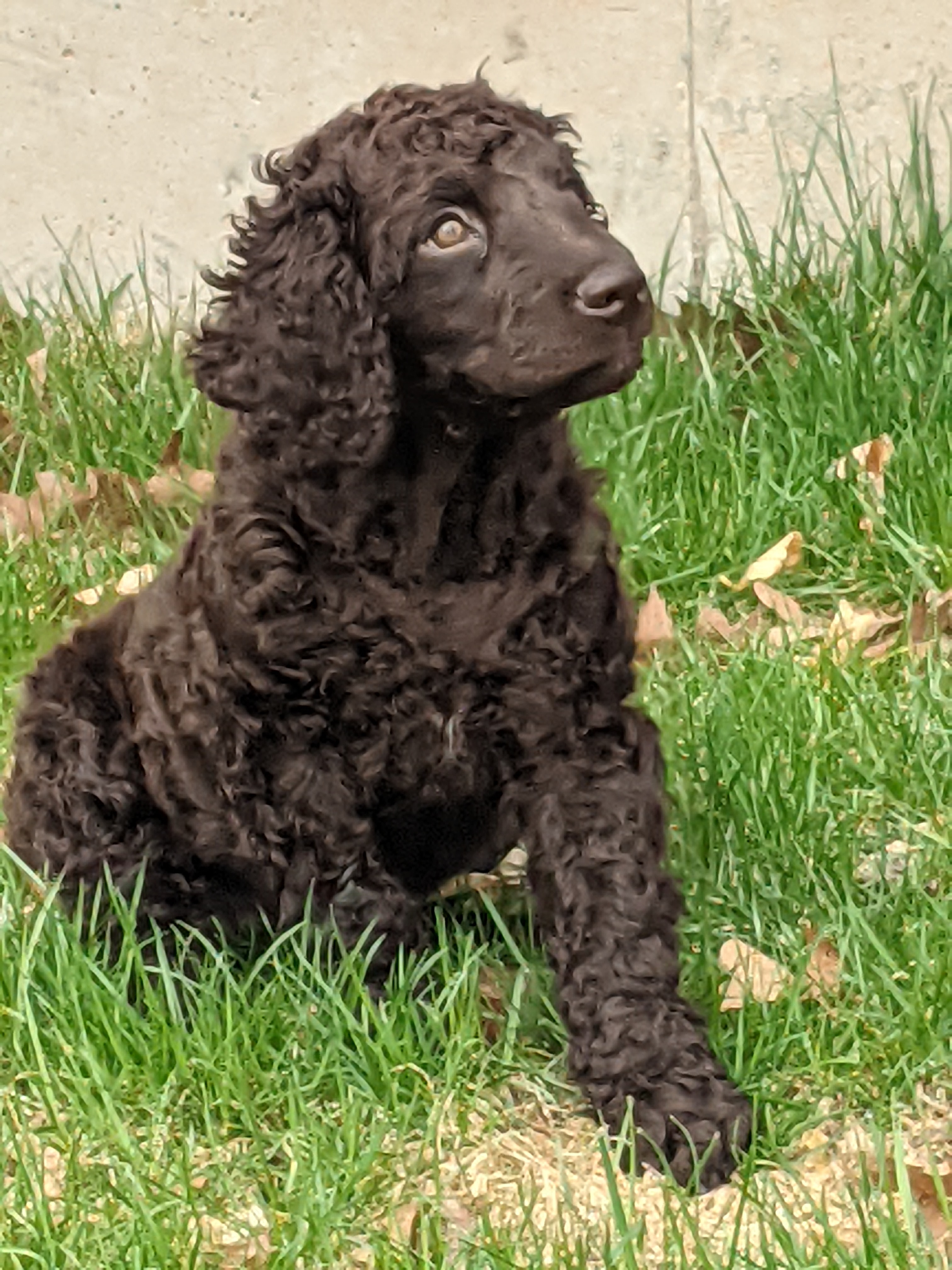 Welcome Polly!