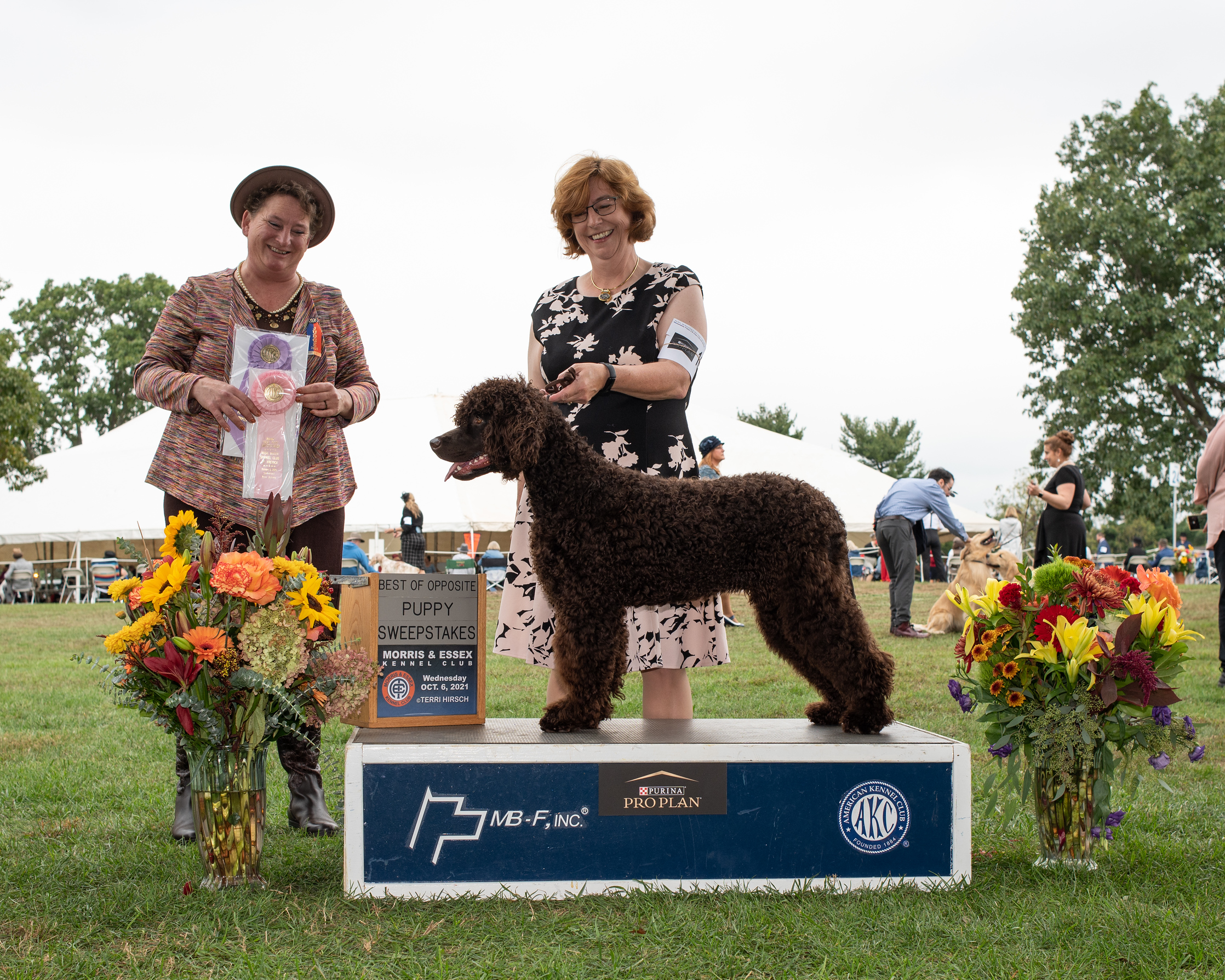 Polly - Best of Opposite Puppy Sweeps