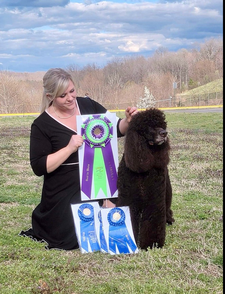 Best In Show