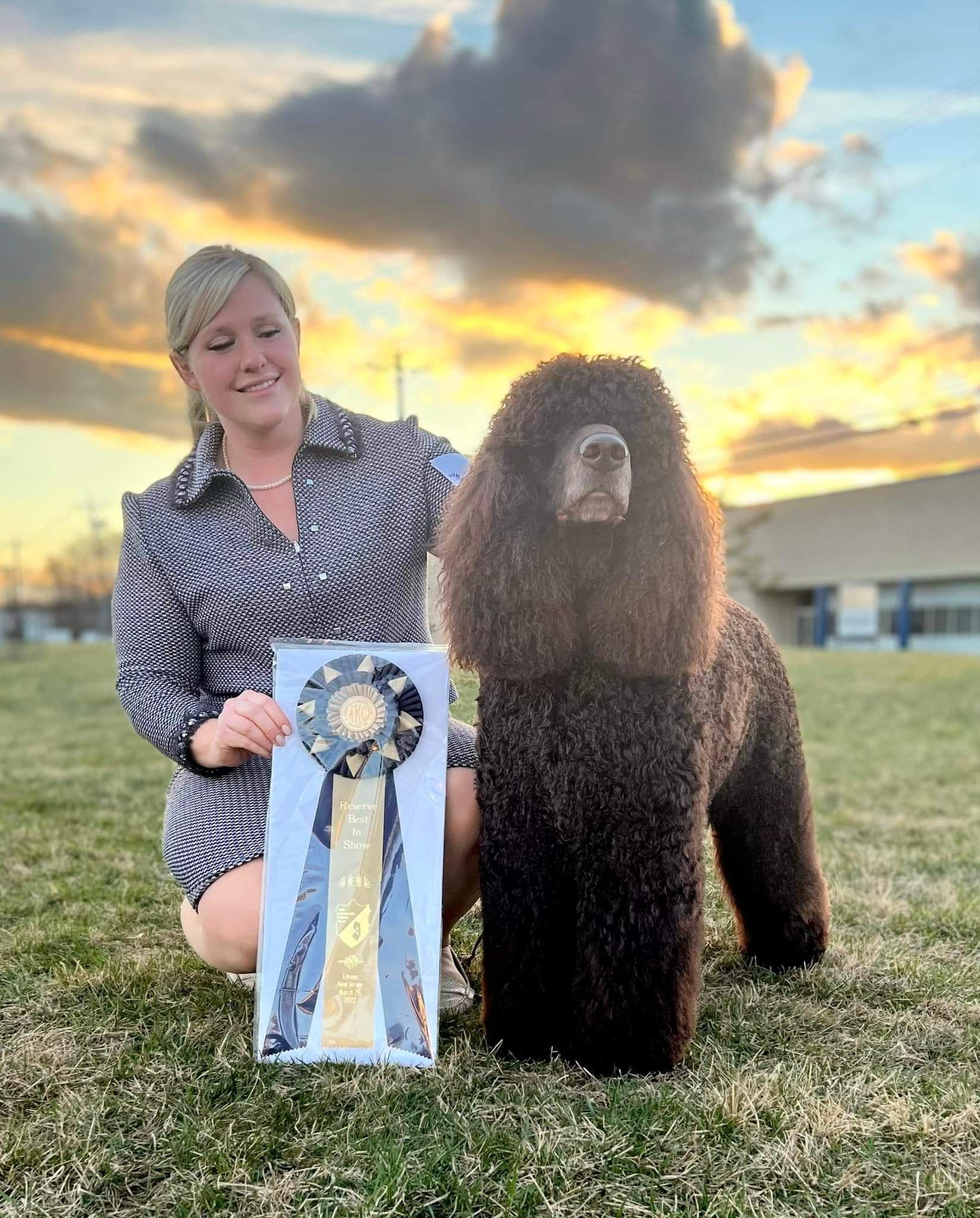 Reserve Best In Show Win