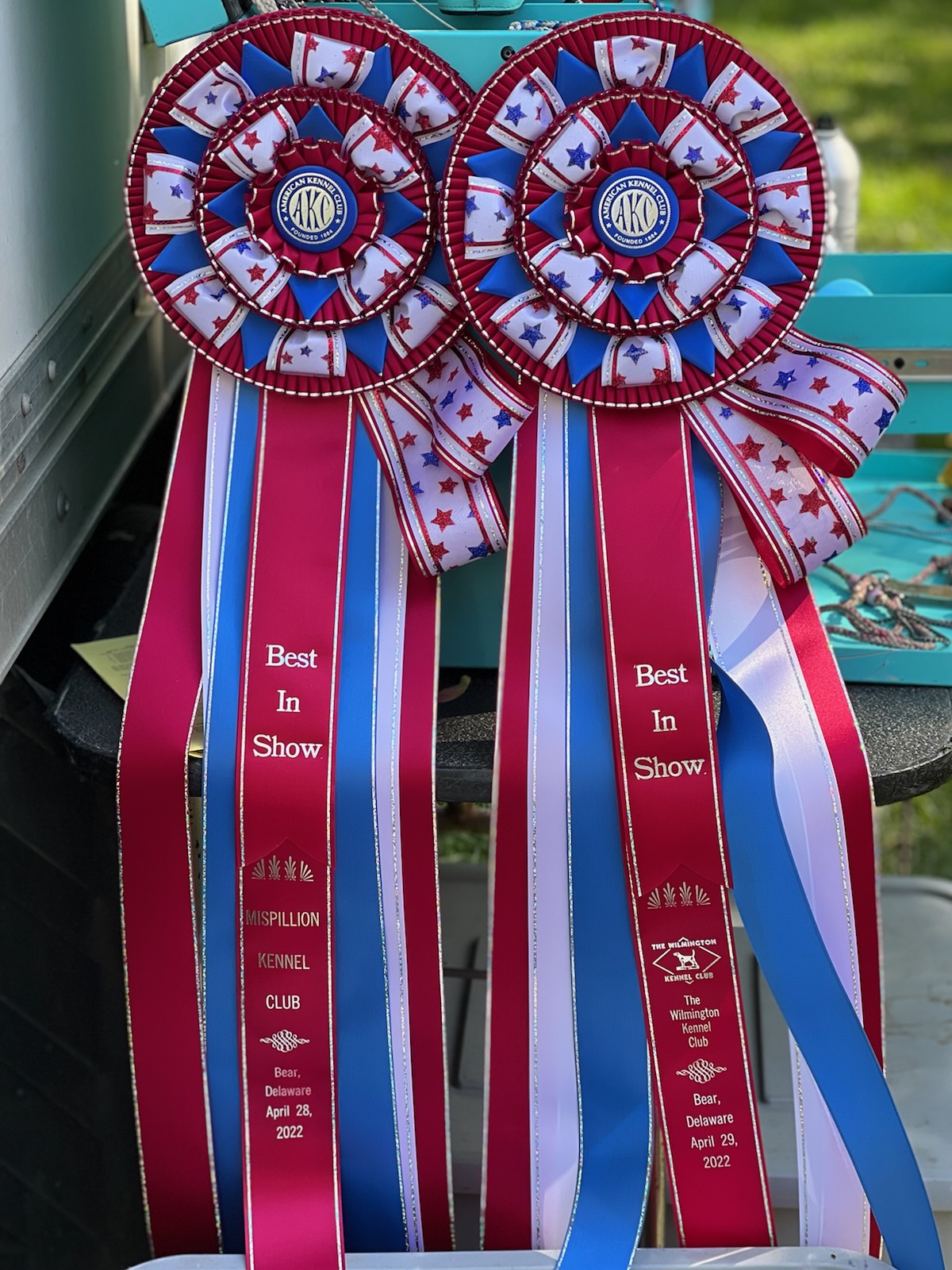 Back-to-back Best In Show Wins