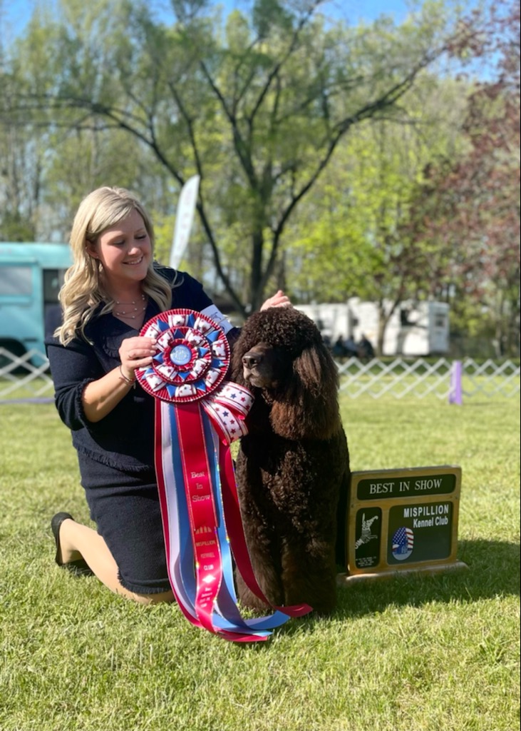 Best In Show Wilmington Kennel Club