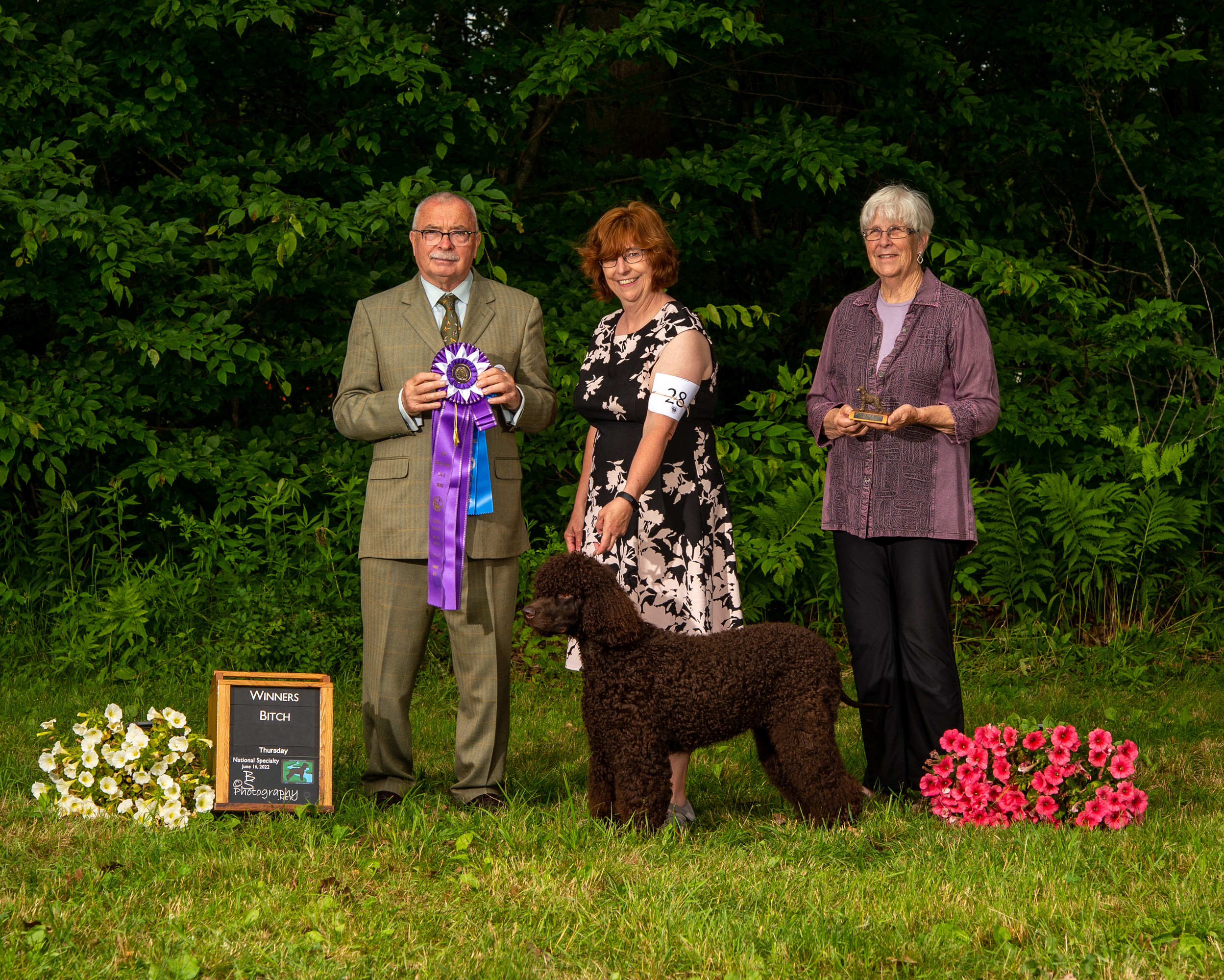 Polly - New Breed Champion