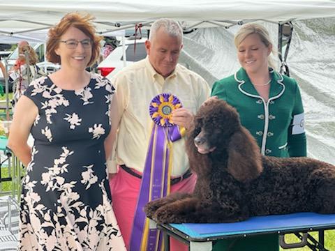 Sloane wins Best of Breed at the 2022 IWSCA National Specialty