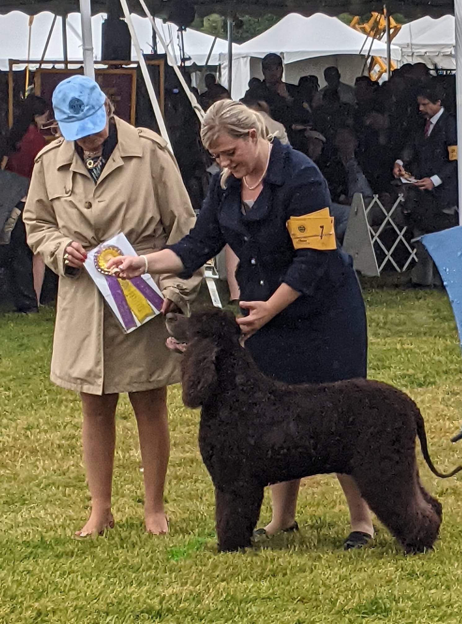 Sloane Wins Best of Breed at Westminster