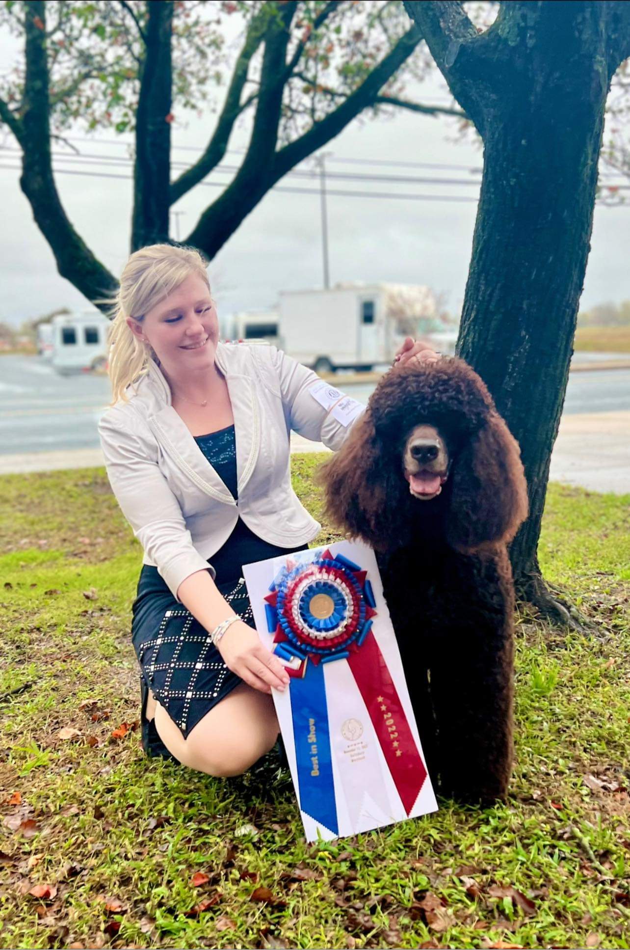 Sloane - Best In Show Salisbury KC