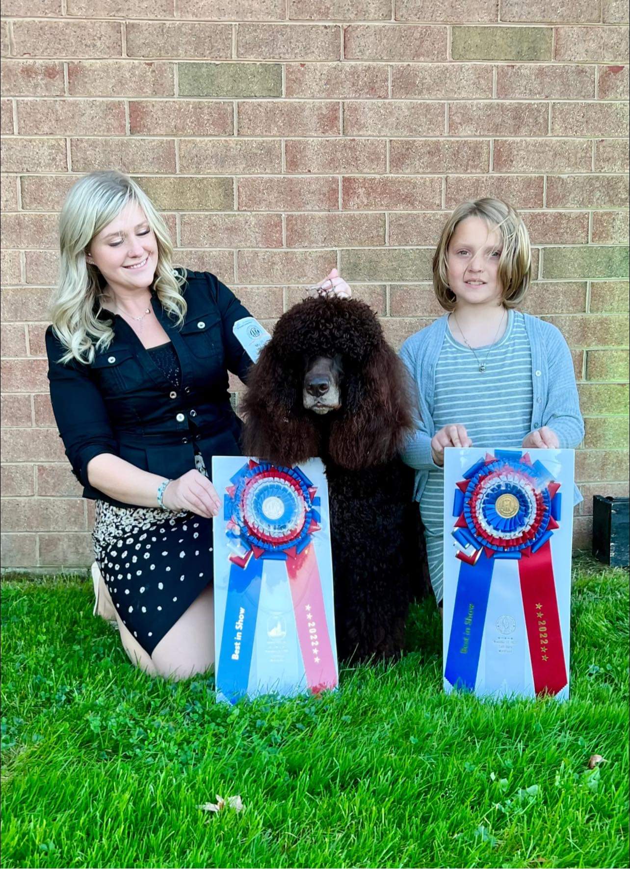 Sloane - Best in Show Mispillion KC