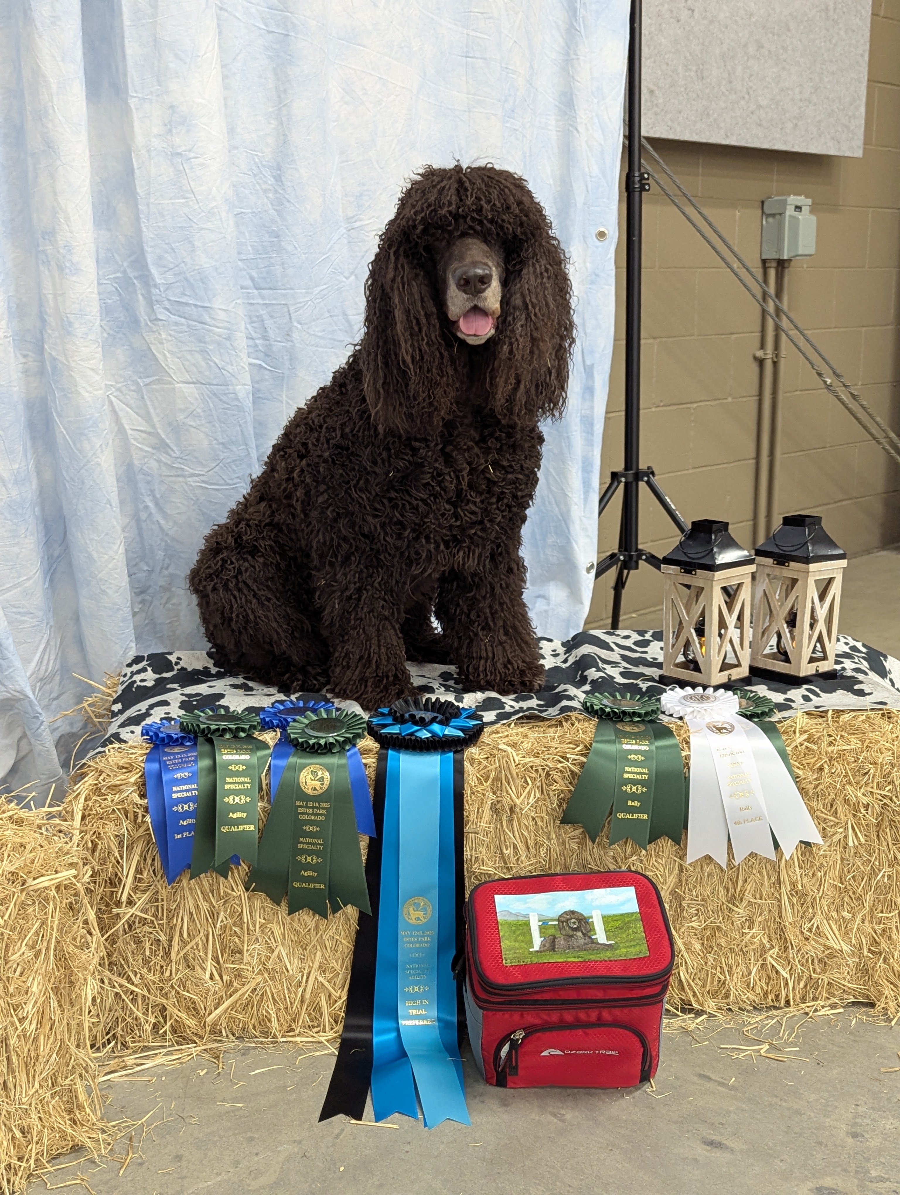 Sloane - HIT at IWSCA National Specialty