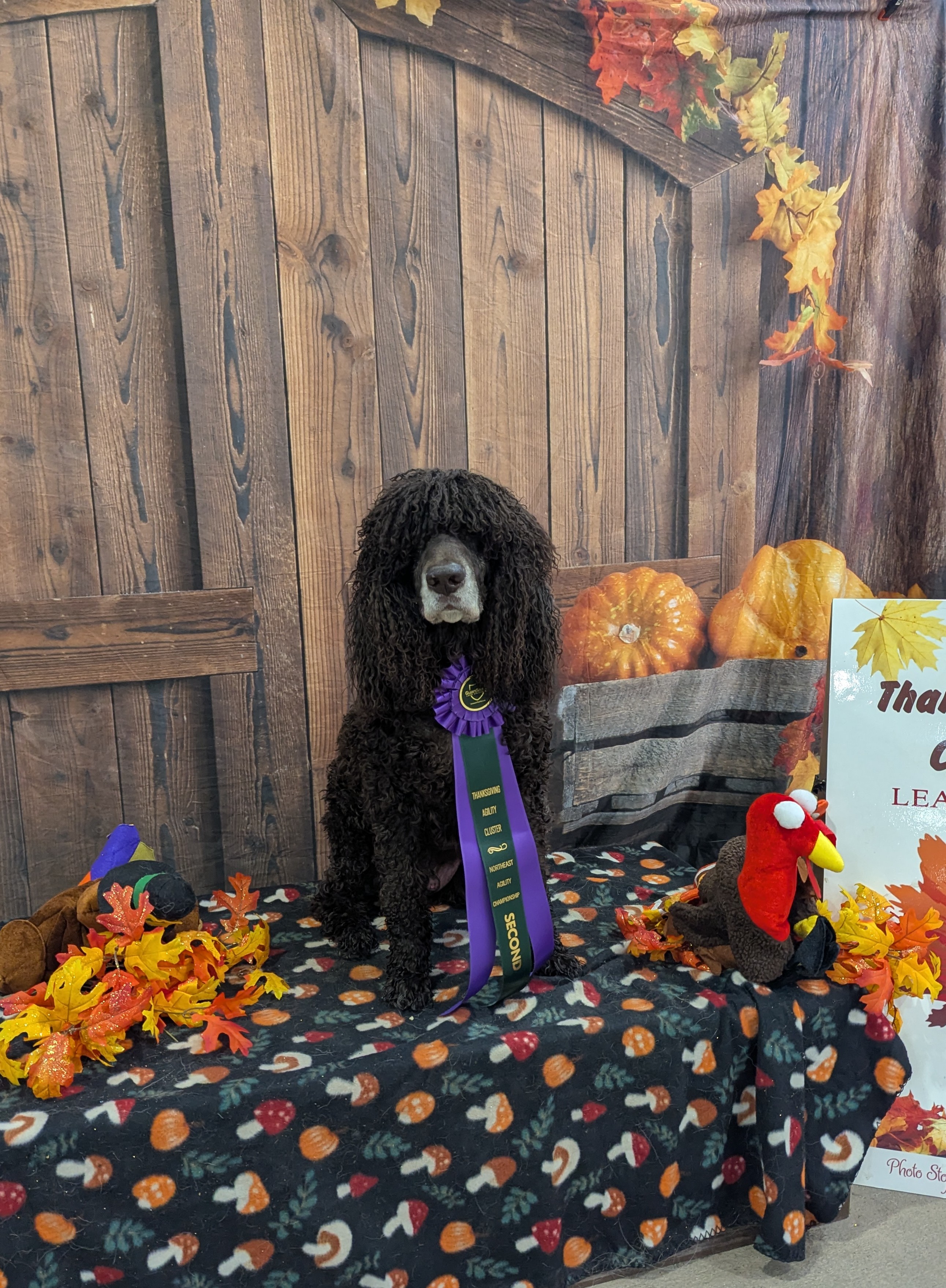 Sloane and Polly - Northeast Championship