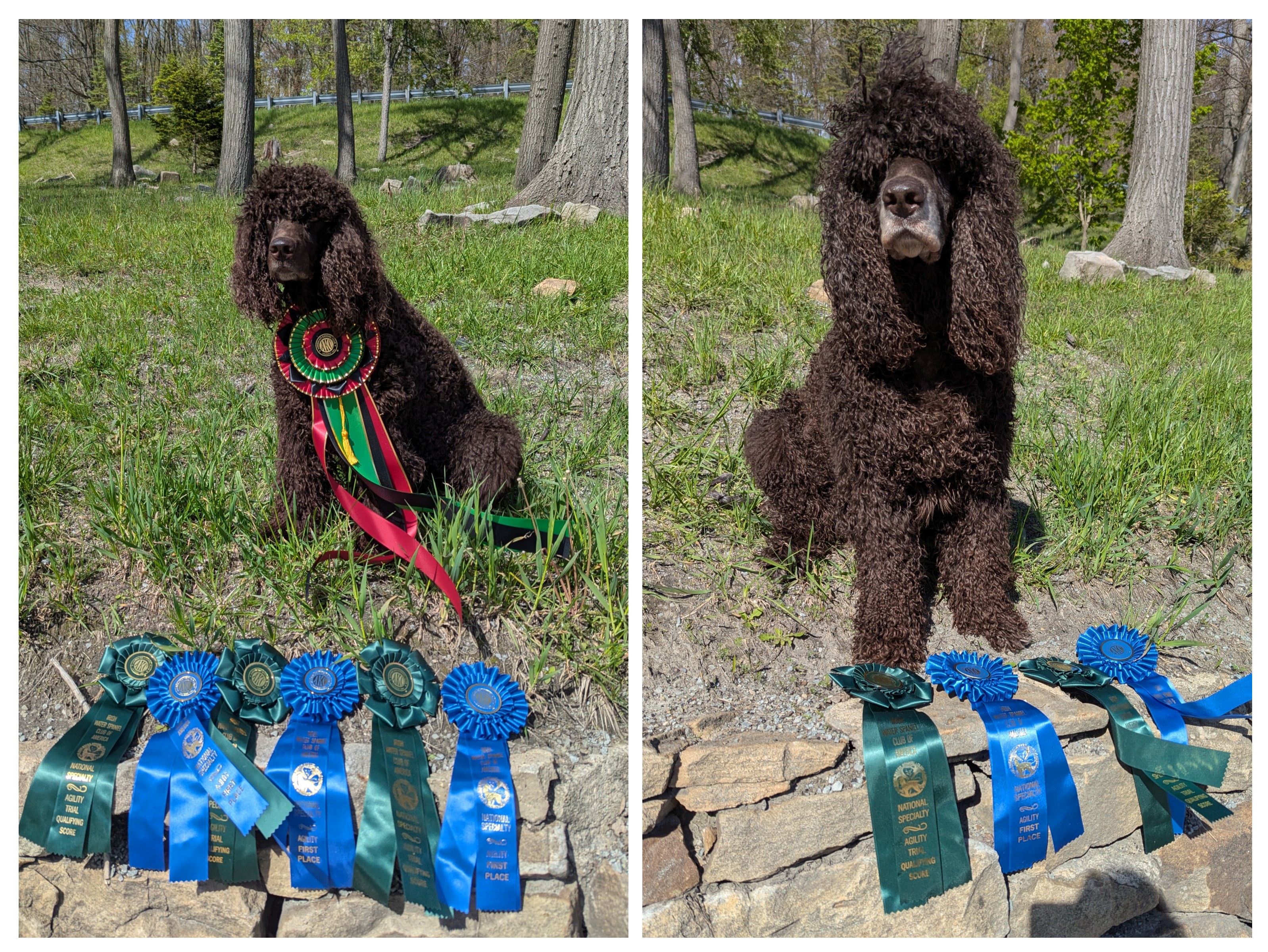 Polly and Sloane - 2026 Specialty